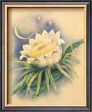 Night Blooming Cereus Posters by Ted Mundorff