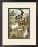 Goats Posters by Henry J. Johnson