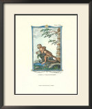 Monkey, Samiri Prints by Thomas Bell