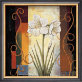 Amaryllis Poster by Jill Deveraux