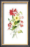 Flowers Posters by Louise Anne Twarmley