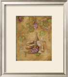 Frascati Prints by Deborah Florence
