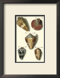 Neptune's Treasure I Prints by Kruger 