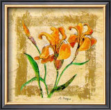 Lirio Prints by A. Vega