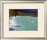 Trunk Bay Art by Dan Mackin