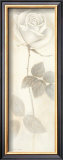 Armonia con Sentimento Posters by Vivien White