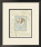Soothing Words Shells IV Art by Lisa Audit