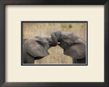 Elephant Hug Framed Giclee Print by Andy Biggs