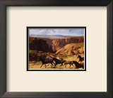 Canyon Mustangs Prints by John Leone
