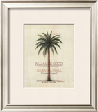 Palma de Coco Prints by Beth Yarbrough