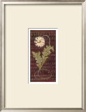 African Daisy II Art by Linda Hutchinson