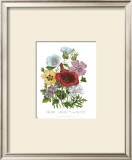Hibiscus Poster by Jane W. Loudon