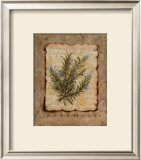 Vintage Herbs, Rosemary Prints by Constance Lael