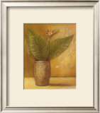 Global Pots II Prints by Lucia Marque
