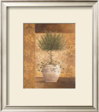 Topiary I Prints by Vivian Flasch