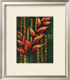 Amazon Beauty I Art by Hermida 