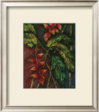 Amazon Beauty II Posters by Hermida 