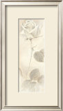 Armonia con Cuore Prints by Vivien White