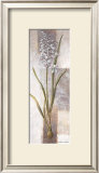 Freesia Prints by Vivien White