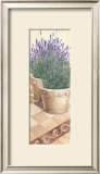 Lavanda in Fiore Posters by Franz Heigl