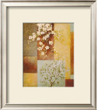 Apple Blossoms Prints by Xavier 