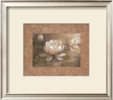 Lotus Prints by Vivian Flasch