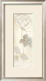 Armonia con Sentimento Poster by Vivien White