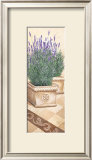Lavanda Profumata Prints by Franz Heigl