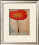 Papavero Prints by Linda Maron