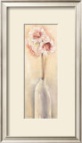 Lustrous Amaryllis Print by Anna Gardner