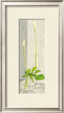 Water Games Posters por Ina van Toor