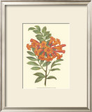 Bountiful Garden III Print