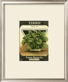 Turnip Prints