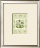 Petunias Posters by Wilma Sanchez