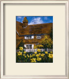 Cottage of Delights III Posters by Malcolm Surridge