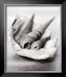 Simplicity: Shells Prints