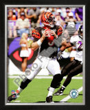 Carson Palmer Framed Photographic Print