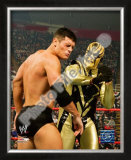 Gold Dust Framed Photographic Print