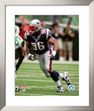 Adalius Thomas Framed Photographic Print