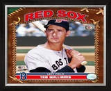 Ted Williams Framed Photographic Print