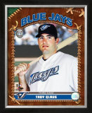 Troy Glaus Framed Photographic Print