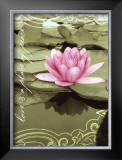 Love Lilly Posters