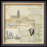 Galets et Coquillages Prints by Fred Minard