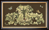 Nature's Splendor on Chocolate I Prints by Michel Pergolesi