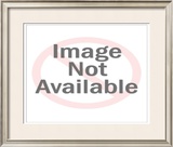 Neil Armstrong Framed Photographic Print