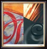 Swans of the Distance Limited Edition Framed Print by Scott Sandell
