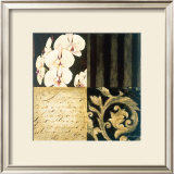 Orchid Sketch I Prints by Elizabeth Jardine