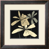 Oxygen Flower Trio Posters by Debbie Halliday