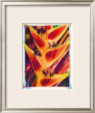Heliconia Framed Giclee Print by Joanne Bolton