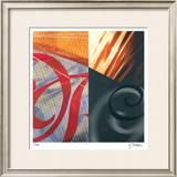 Swans of the Distance Limited Edition Framed Print by Scott Sandell